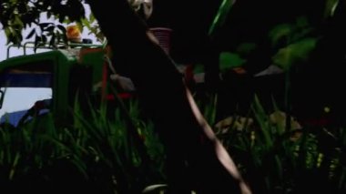 Singha Park, Chiang Rai, Tayland 'daki çiftlikte çalışan çöp toplama aracı. Sürdürülebilir turizmin gelişimine odaklanan tarım-turizm beldesi.