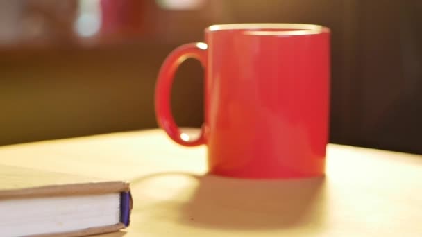 Close Hand Young Women Holding Red Cup Drinking Hot Coffee — Stock Video