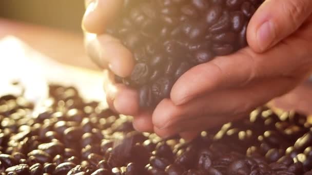 Closeup Hands Holding Fresh Roasted Coffee Beans Falling Bag Rag — Stock Video