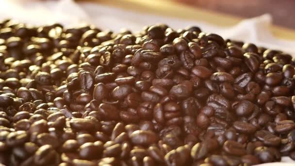 Primer Plano Las Manos Sosteniendo Granos Café Tostados Frescos Cayendo — Vídeos de Stock