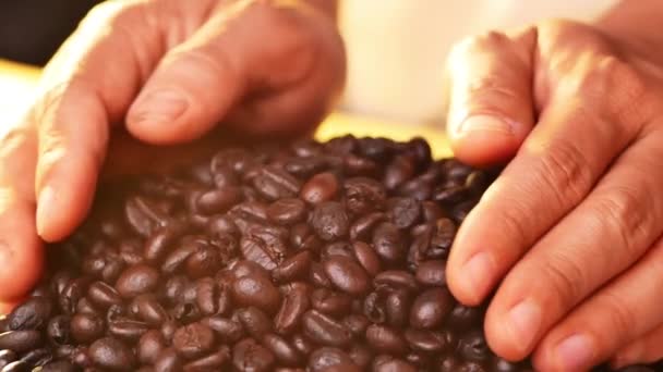 Großaufnahme Von Händen Die Frisch Geröstete Kaffeebohnen Halten Und Auf — Stockvideo