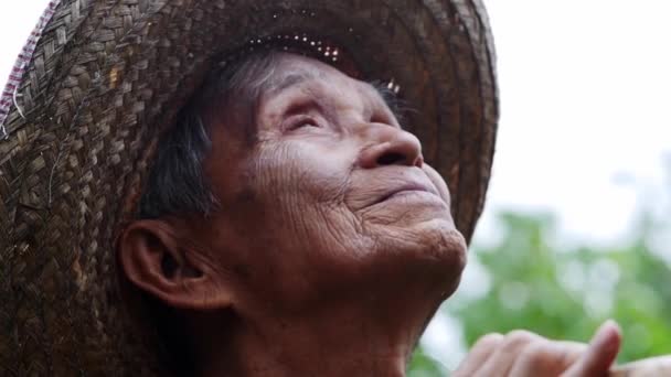 Närbild Glad Asiatisk Gammal Man Som Står Trädgård Och Vetter — Stockvideo