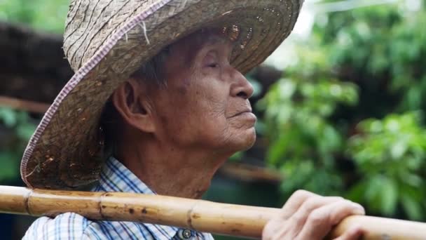 Close Delighted Asian Old Man Standing Garden Facing Sky Farmers — Stock Video