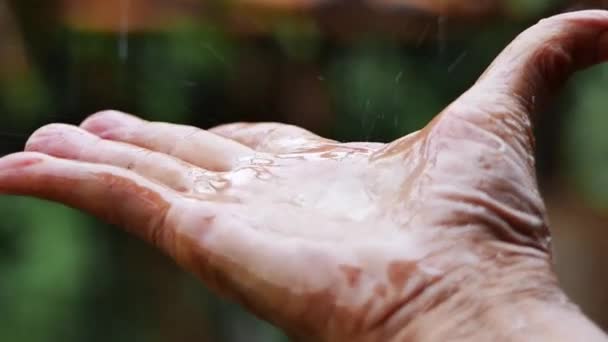幸せ老人の手を閉じる雨をキャッチ再生ぼやけた自然背景にドロップします 季節によって農民は雨に満足している — ストック動画
