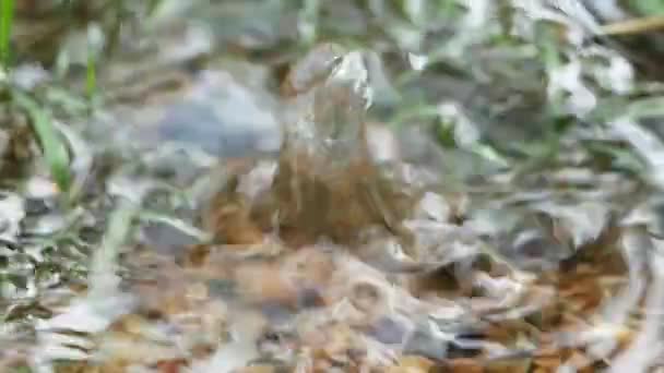 Voda Kape Přes Vodu Štěrkové Louce Během Deště Příroda Období — Stock video