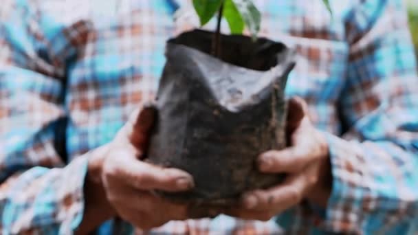 庭に木を植えるために黒いビニール袋に苗を保持する農家の手の閉鎖 — ストック動画
