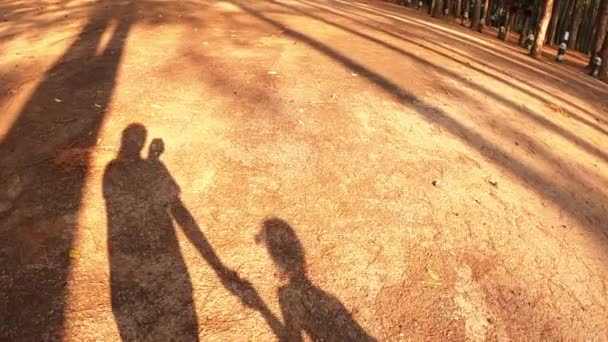 Σκιά Μιας Οικογένειας Που Περπατά Στο Καλοκαιρινό Πευκοδάσος Ηλιοφάνεια — Αρχείο Βίντεο