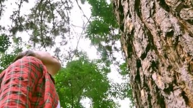 Mutlu bir kadın yaşlı bir ağacın yanında duruyor ve yağmur ormanlarında sevgi ve gülen yüzle sarılıyor. Dünya günü ve ormansızlaşma kavramı.