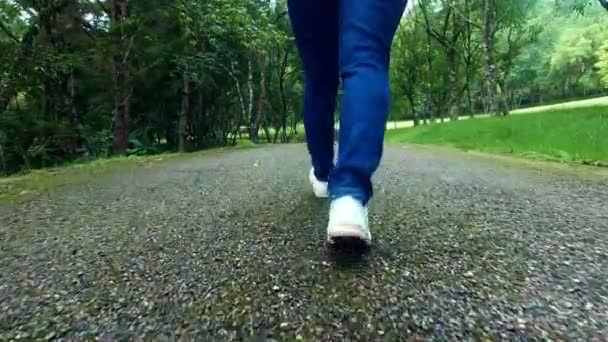 Close Female Traveler Legs Walking Asfalt Road Nature — Stock video