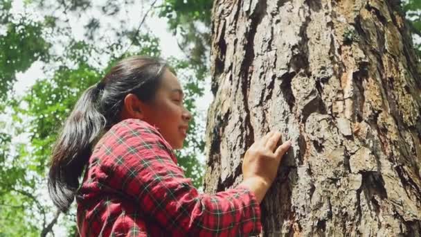 Eine Glückliche Frau Steht Neben Einem Alten Baum Und Berührt — Stockvideo