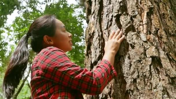 Happy Woman Standing Old Tree Hugs Love Smiling Face Rainforest — Stock Video