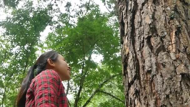 Una Mujer Feliz Está Pie Cerca Viejo Árbol Abraza Con — Vídeo de stock