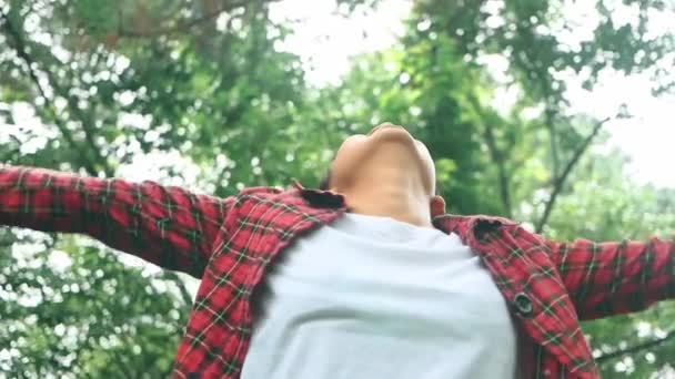 Egy Boldog Turista Felnézett Égre Felemelt Karokkal Élvezve Erdő Természetét — Stock videók