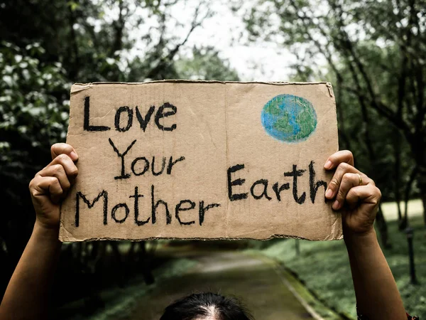 Uma Voluntária Feminina Segurando Sinal Conservação Natureza Está Entre Natureza — Fotografia de Stock