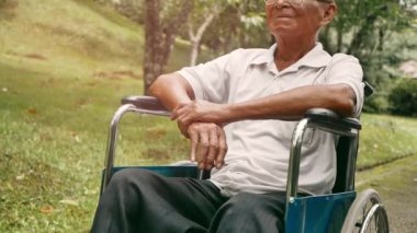 Tekerlekli sandalyedeki mutlu yaşlı adam parkta doğanın tadını çıkarıyor..