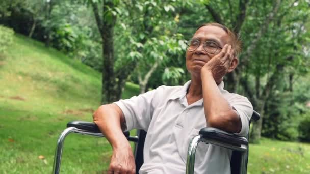 Zdravotně Postižený Starší Muž Brýlích Sedí Vozíku Dívá Stranou Přemýšlí — Stock video