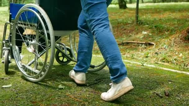 Close Legs Granddaughter Pushing Grandfather Wheelchair Walking Road Enjoying Nature — Stock Video