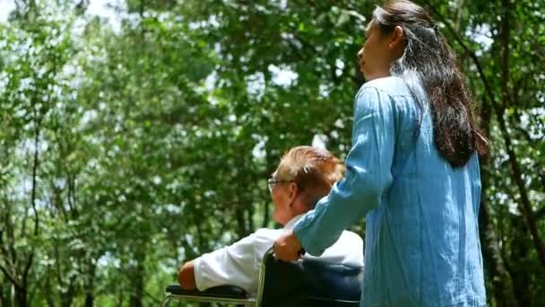 Büyükbabam Tekerlekli Sandalyede Torunuyla Parkta Doğanın Tadını Çıkarıyor Tatilde Aile — Stok video