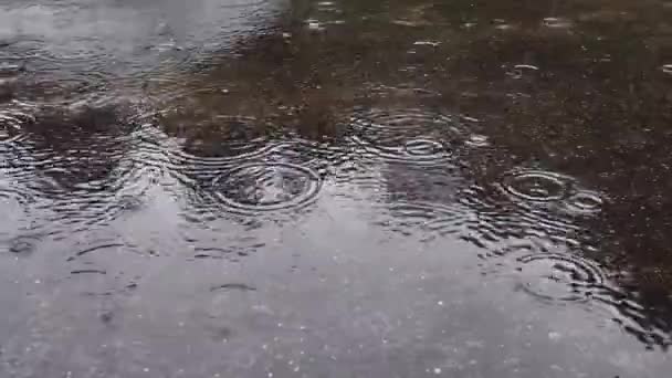 沥青路面上的雨滴落在大水坑中 淹没了道路 雨季下在水泥地上的雨 — 图库视频影像