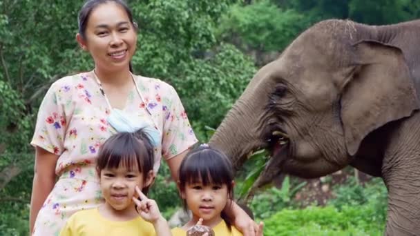 Happy Family Taking Pictures Elephants Eating Corn Elephant Camp Children — Wideo stockowe