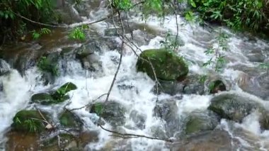 Yağmur mevsiminde nehir taşların üzerinde akar..