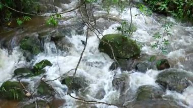 Yağmur mevsiminde nehir taşların üzerinde akar..