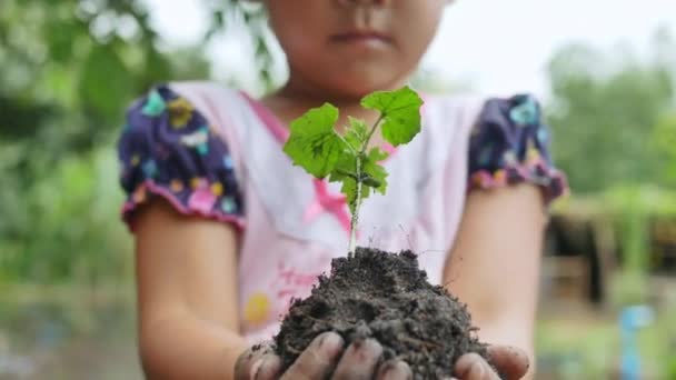 Zbliżenie Dziecięcej Dłoni Trzymającej Sadzonkę Ogrodzie Dziecko Uprawiające Warzywa Ogrodzie — Wideo stockowe