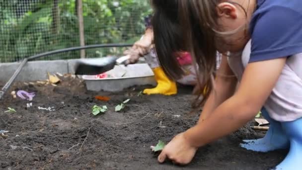 Dos Niñas Con Botas Plantando Una Plántula Patio Trasero Niños — Vídeos de Stock