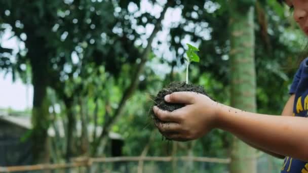 緑の植物を手に持つ子供と母親 生態学の概念 — ストック動画