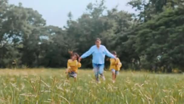 Ibu Dan Anak Perempuan Berpegangan Tangan Dan Berjalan Lapangan Taman — Stok Video