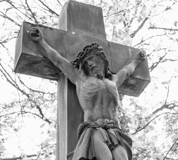 Jesucristo Bajo Cruz Sufrimiento Dolor Cara —  Fotos de Stock