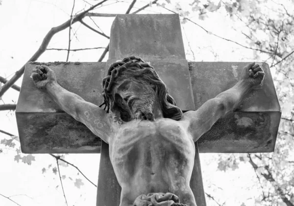 Ježíši Kriste Pod Křížem Utrpení Bolest Obličeji — Stock fotografie