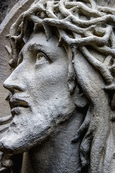 Face Jesus Christ Close Wreath Thorns Suffering — Stock Photo, Image