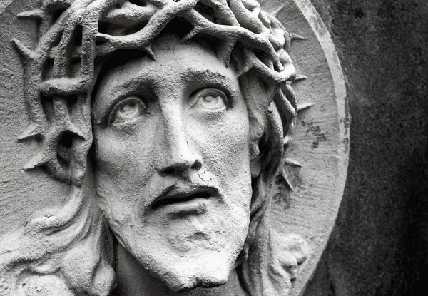 Face Jesus Christ Close Wreath Thorns Suffering — Stock Photo, Image