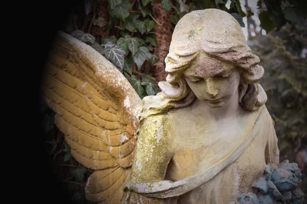 女性をイメージした平和の天使 — ストック写真