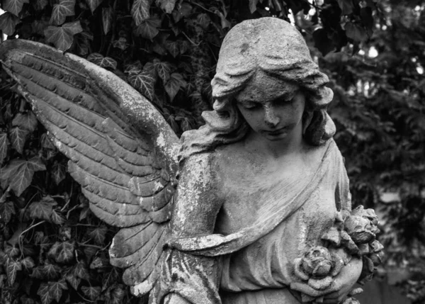 Ангел Мира Образу Женщины — стоковое фото
