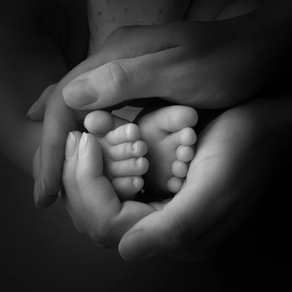 Pernas de bebê recém-nascido com mão mãe isolada em fundo cinza — Fotografia de Stock