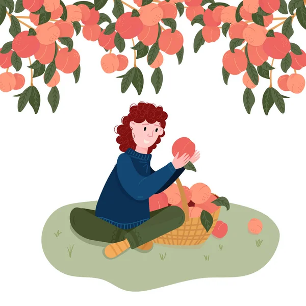 Femme Cueille Des Fruits Dans Panier Jardinier Cueillir Pêche Dans — Image vectorielle