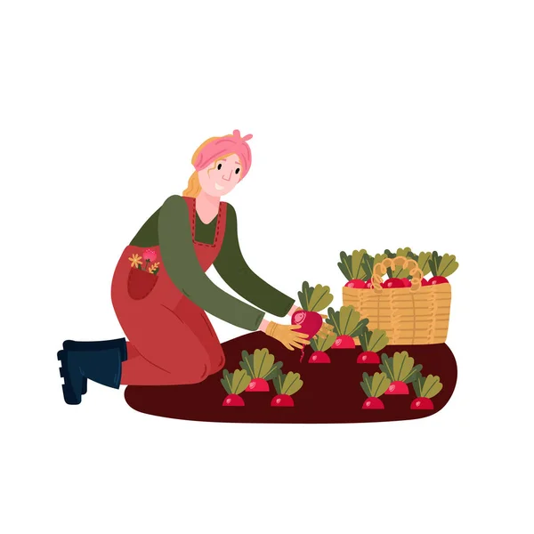 Egy nő organikus retket gyűjt. A gazda zöldségeket termeszt a farmon. Női termesztés öko retek a kertben. Összességében a gumicsizma és a növényekkel végzett kesztyűtenyésztés. — Stock Vector