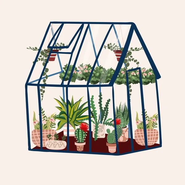 Estufa com plantas tropicais. Estufa no jardim com cacto, suculenta em vasos. Plantação botânica cultivada com selva urbana. Trópicos florais no pavilhão. Flor exótica crescendo em hothouse. Ilustração De Stock