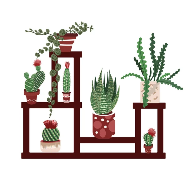 Plant stand for home decor, balcony. Urban jungle with cactus, Aloe Vera. Set of Houseplant in the pot in trendy scandinavian style. — Stock Vector