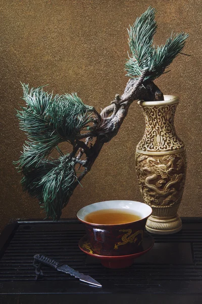 Bansai and tea — Stock Photo, Image