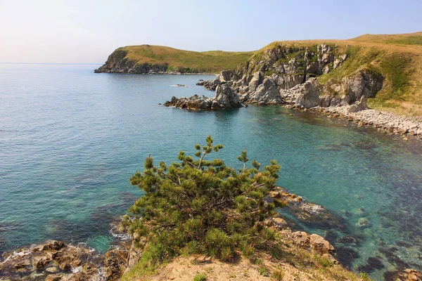 Gamow Yarımadası, Primorsky Krai, Rusya