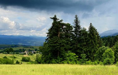Maopolska 'daki çayır ve dağların manzarası