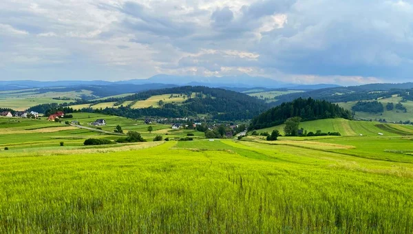 ポーランドの山々とピエンニニー山脈とタトラ山脈の牧草地の風景 — ストック写真