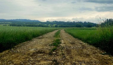 Polonya dağlarının manzarası Pieniny ve Tatra Dağları 'nın çayırları