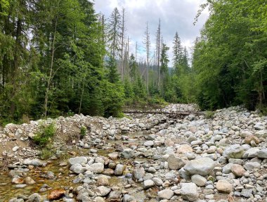 Tatra Ulusal Parkı. Yüksek Dağlar Polonya Tatra Dağları