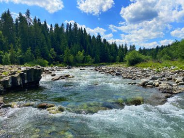 Polonya Tatra Dağları 'ndaki Biaka Nehri.