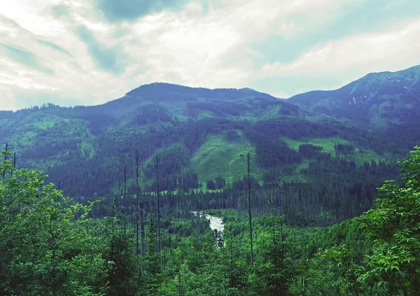 タトラ国立公園 高い山 ポーランドタトラ山脈 — ストック写真