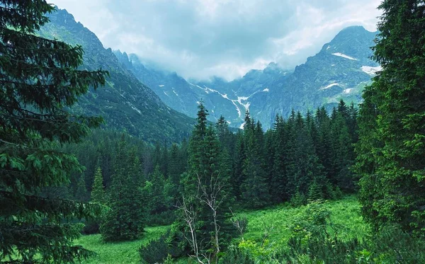 タトラ国立公園 高い山ポーランドのタトラ山脈 ポーランド — ストック写真